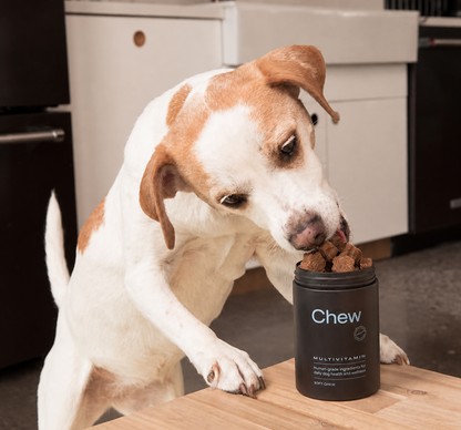 Chew