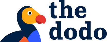 Chew